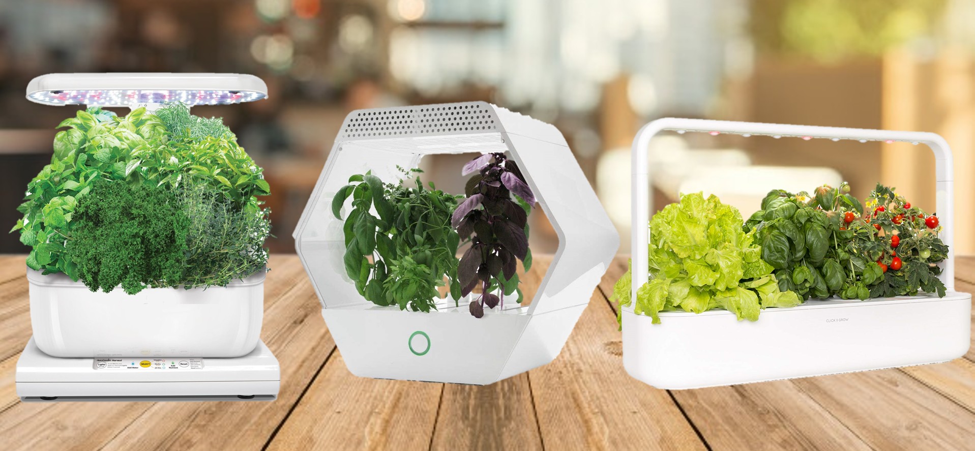 Serra smart idroponica: Miracle-Gro Aerogarden vs Click and Grow vs Robonica Linfa