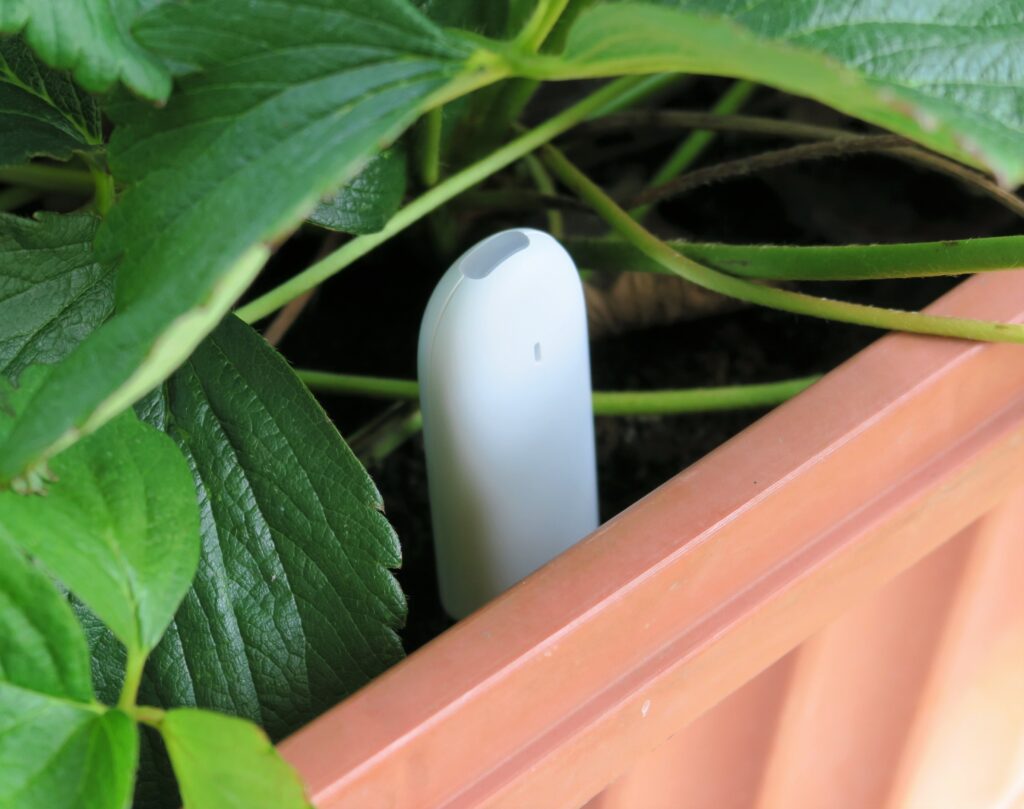 Xiaomi Mi Flora Smart Plant Sensor Monitor Flower Care