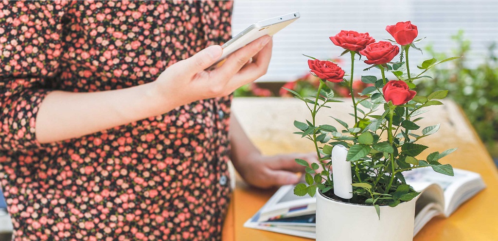 Xiaomi Smart Plant Flower Care