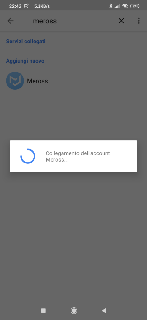 Meross Google Home