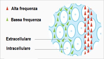 Bilancia smart impedenziometrica