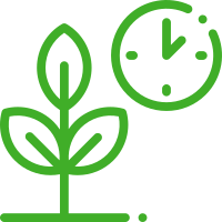 serra idroponica da casa per coltivazione indoor Click & Grow Smart Garden