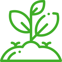 serra idroponica da casa per coltivazione indoor Click & Grow Smart Garden