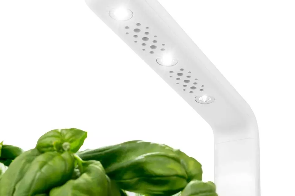 serra idroponica da casa per coltivazione indoor Click & Grow Smart Garden