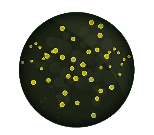 Particelle ultrafini