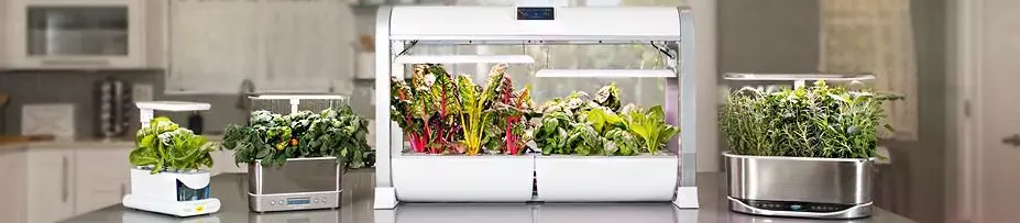 Serra idroponica smart da casa AeroGarden