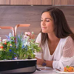 Serra idroponica smart Véritable